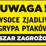 Gmina Skołyszyn w obszarze zagrożonym wystąpieniem grypy ptaków!